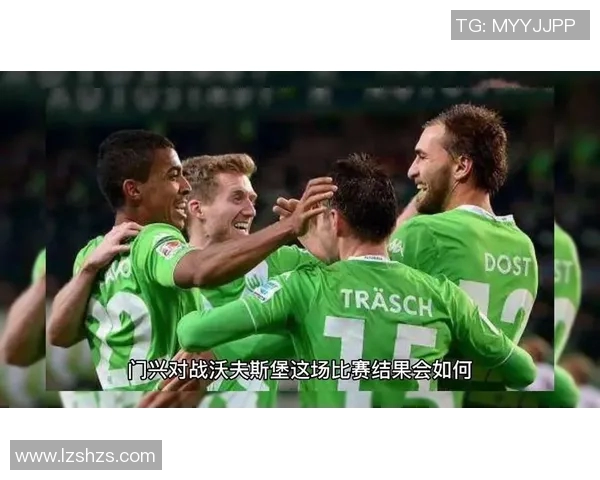 沃尔夫斯堡与门兴对决因意外事件中断引发热议 沃尔夫斯堡与门兴对决因意外事件中断引发热议