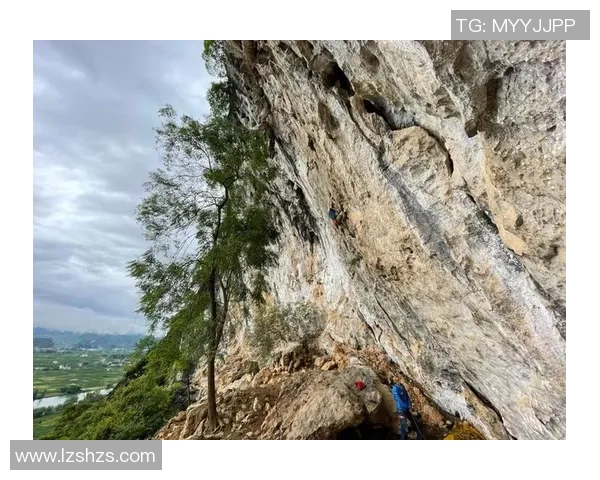 从零基础到高水平攀岩耐力提升全攻略助你轻松征服每一座岩壁
