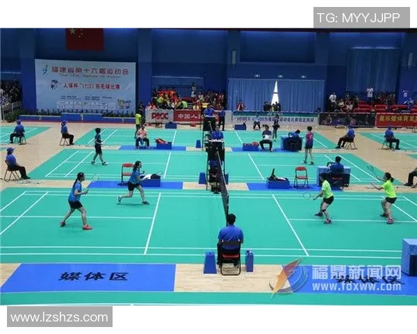 杭州羽毛球队挑战赛精彩点评团队配合与默契展现的完美时刻