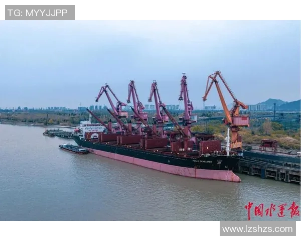 南京排球队中路突破分析：优势与不足的全面探讨