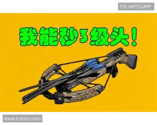 专访杨芳:深入剖析和平精英背后的成功秘诀与未来发展方向