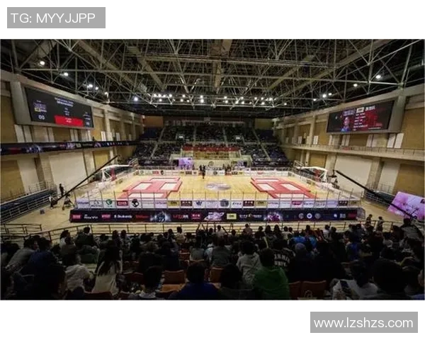 上海极限运动队的阵地战探索与发展趋势分析