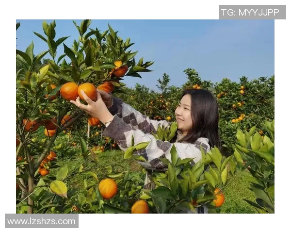 果园采摘体验：亲手采摘新鲜果实，享受自然之美与丰收的乐趣